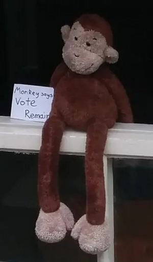 Monkey REMAIN (cropped) - seen in Cambridge